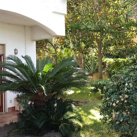 Giardino Mediterraneo Lacco Ameno  Dış mekan fotoğraf