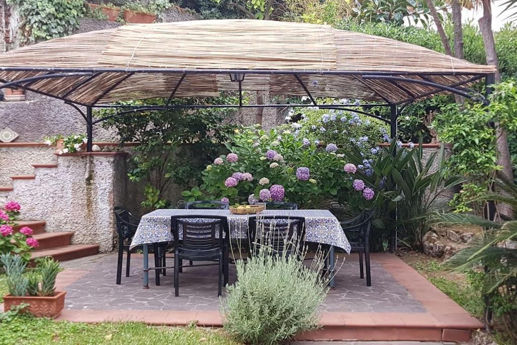Giardino Mediterraneo Lacco Ameno  Dış mekan fotoğraf