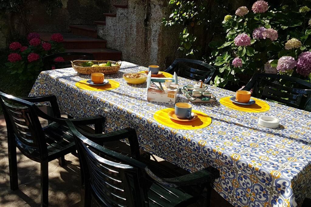 Giardino Mediterraneo Lacco Ameno  Dış mekan fotoğraf