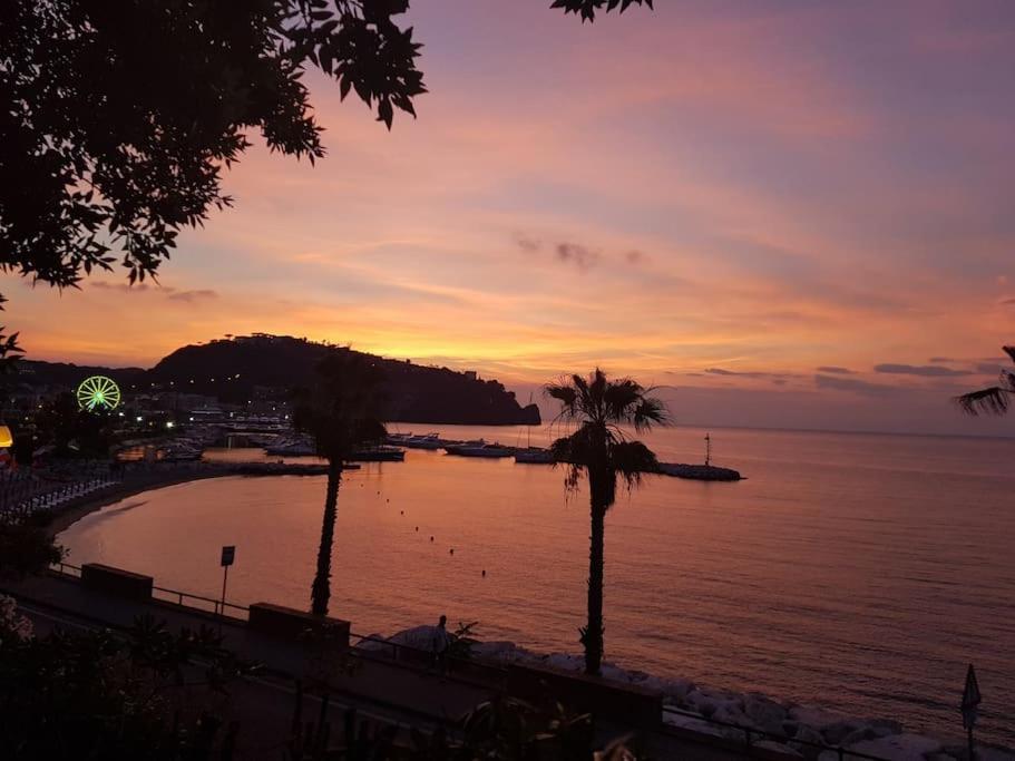 Giardino Mediterraneo Lacco Ameno  Dış mekan fotoğraf