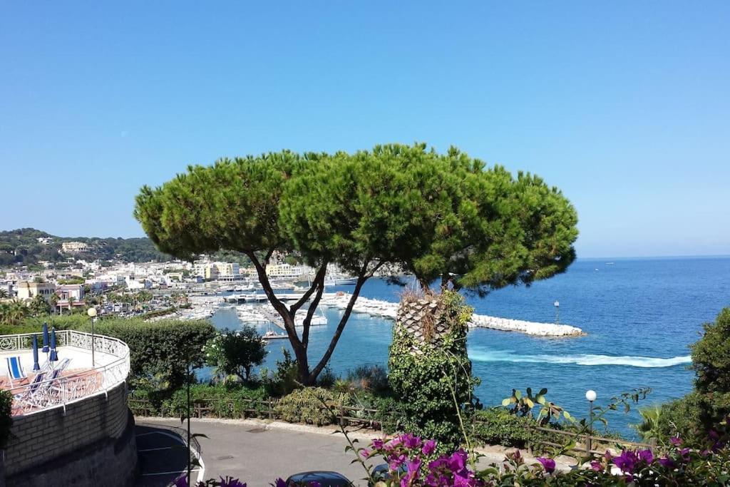 Giardino Mediterraneo Lacco Ameno  Dış mekan fotoğraf