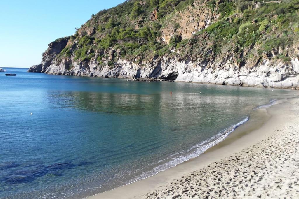 Giardino Mediterraneo Lacco Ameno  Dış mekan fotoğraf