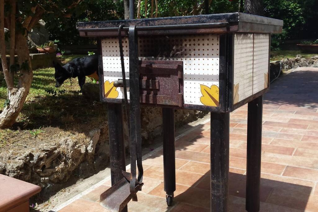 Giardino Mediterraneo Lacco Ameno  Dış mekan fotoğraf