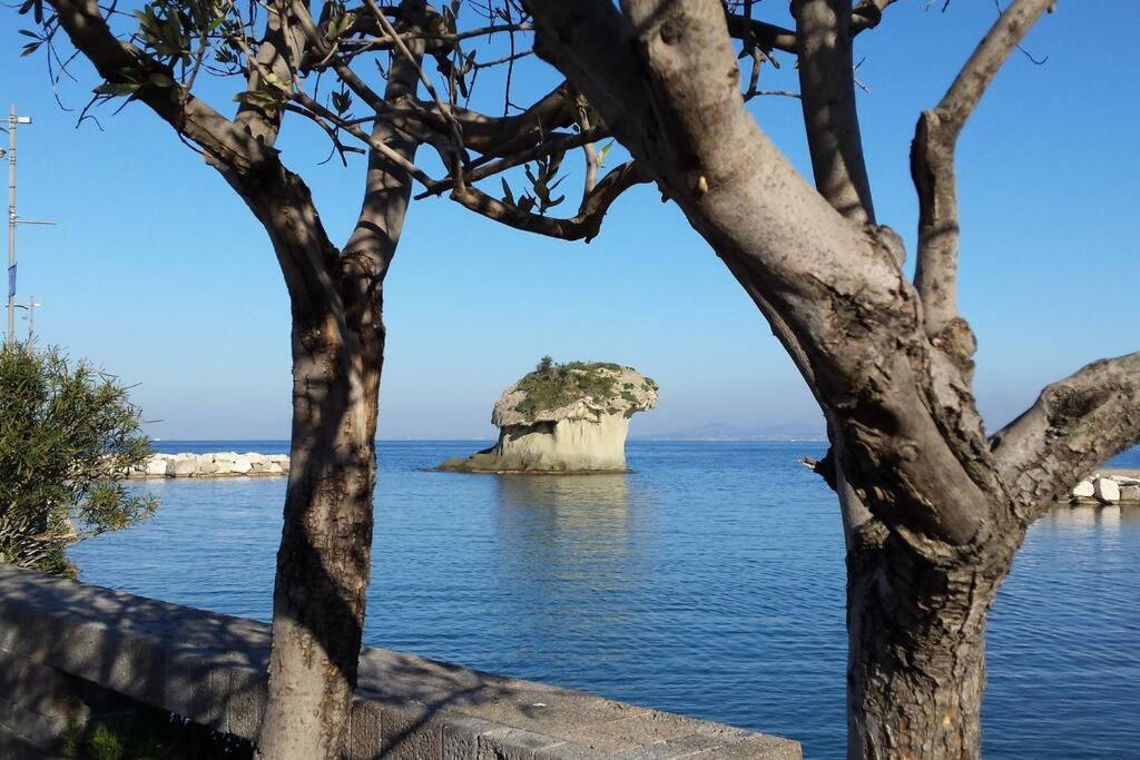 Giardino Mediterraneo Lacco Ameno  Dış mekan fotoğraf