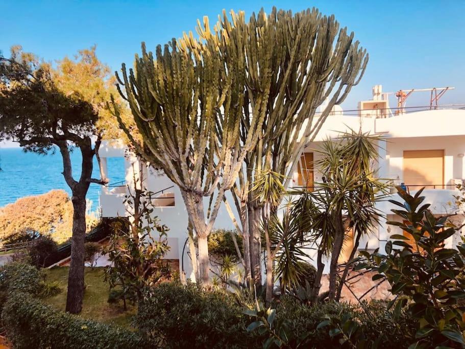 Giardino Mediterraneo Lacco Ameno  Dış mekan fotoğraf