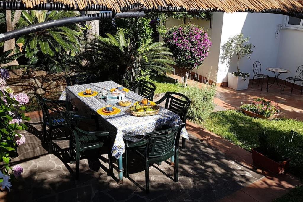 Giardino Mediterraneo Lacco Ameno  Dış mekan fotoğraf