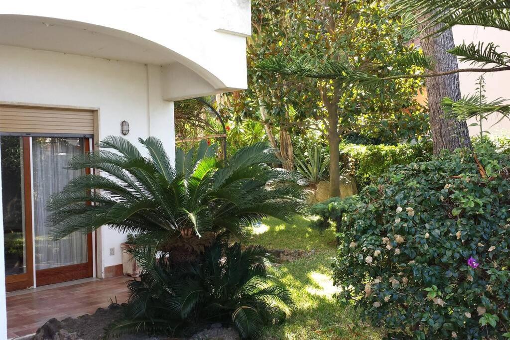 Giardino Mediterraneo Lacco Ameno  Dış mekan fotoğraf