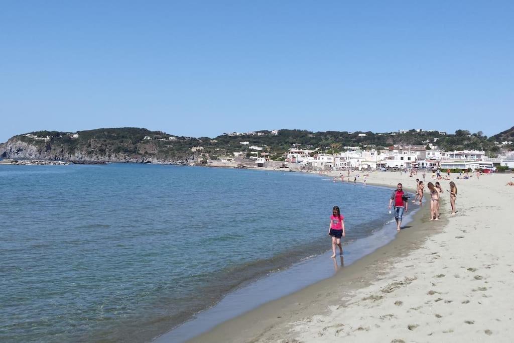 Giardino Mediterraneo Lacco Ameno  Dış mekan fotoğraf